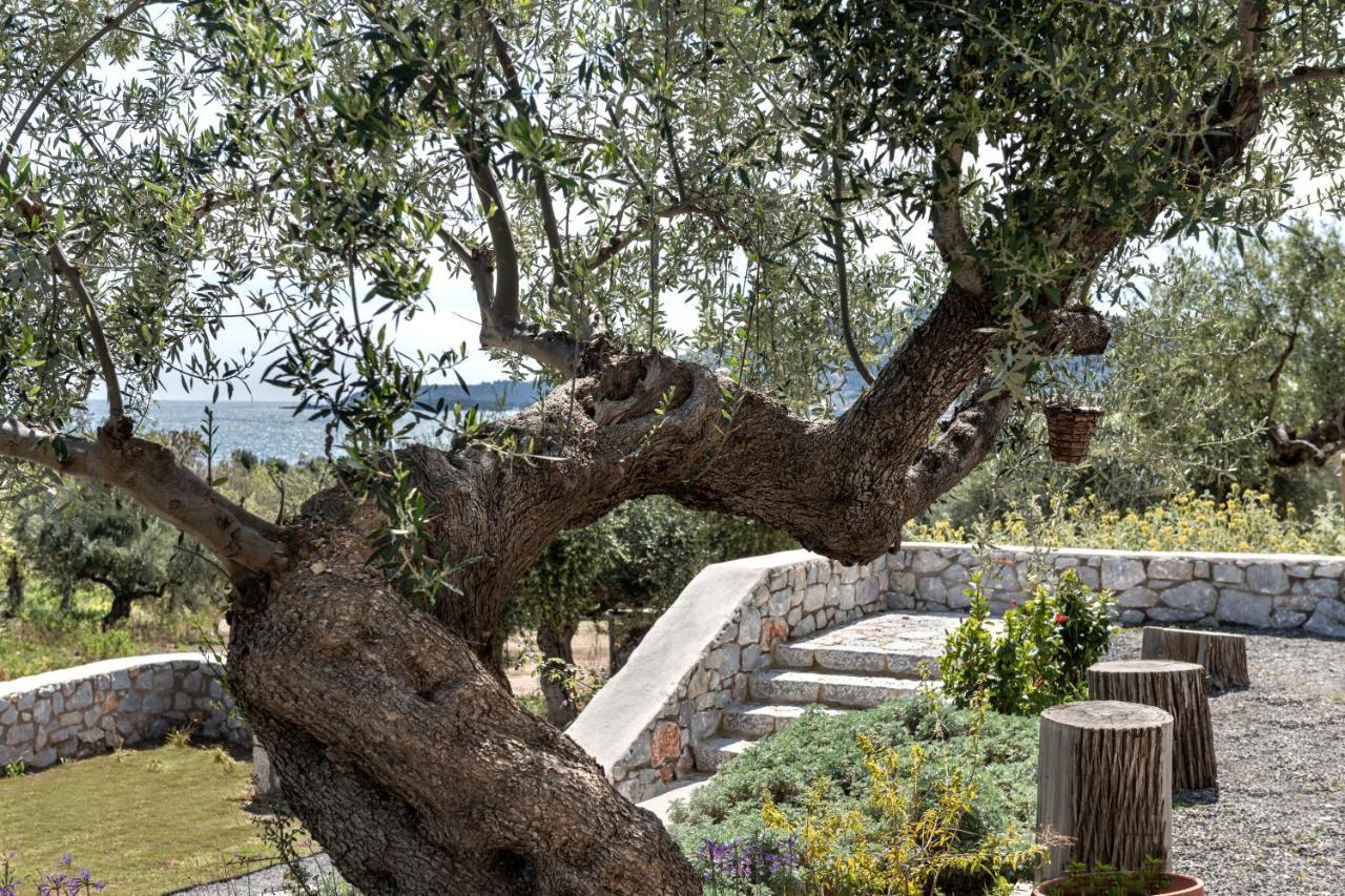 The Olive Yard Aparthotel Gythio Exterior photo